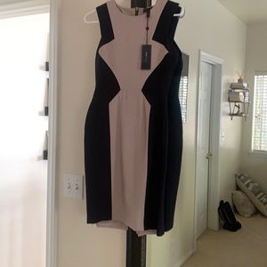 BCBG dress never worn with tags!